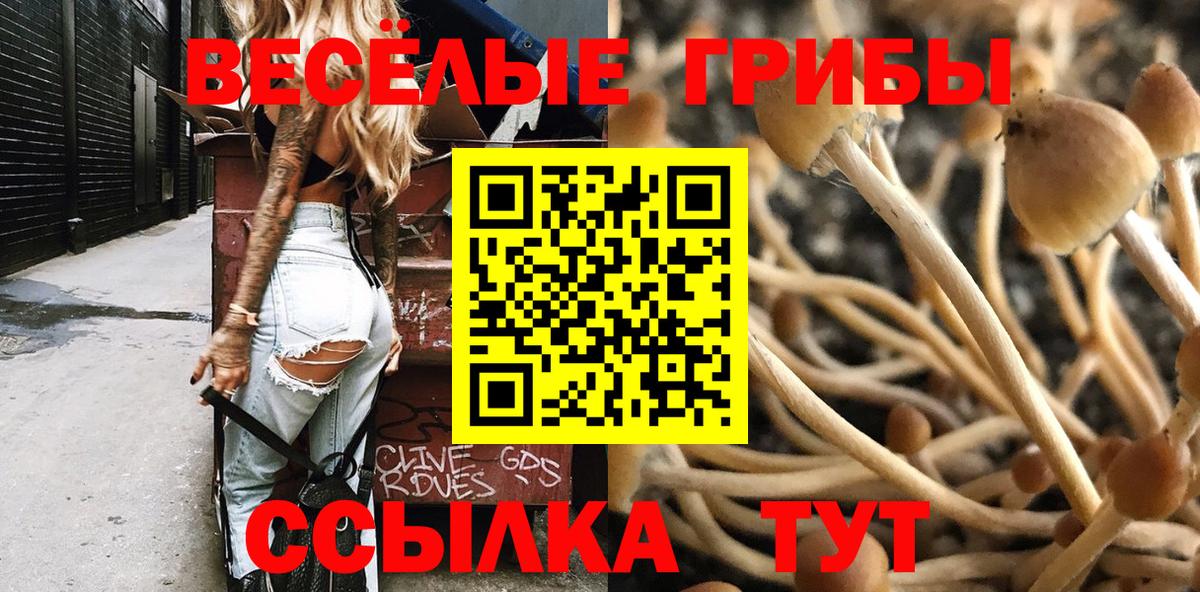Железноводск  Галлюциногенные грибы Magic Shrooms  Вход с VPN 